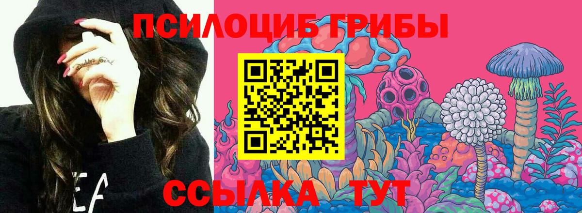 Зима  Галлюциногенные грибы Psilocybe  Вход с VPN 